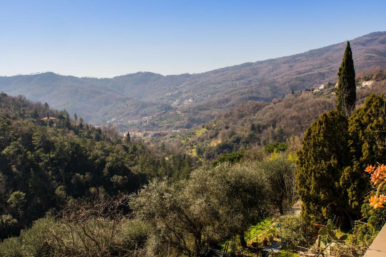 Agriturismo A Ca Vegia Calice Ligure Buitenkant foto